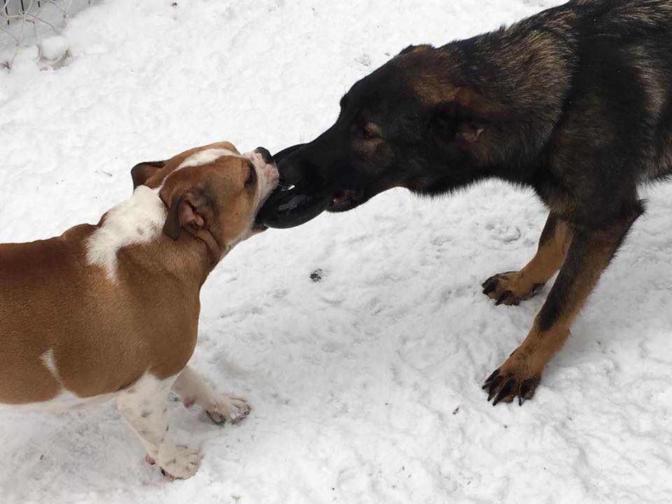 tug of war